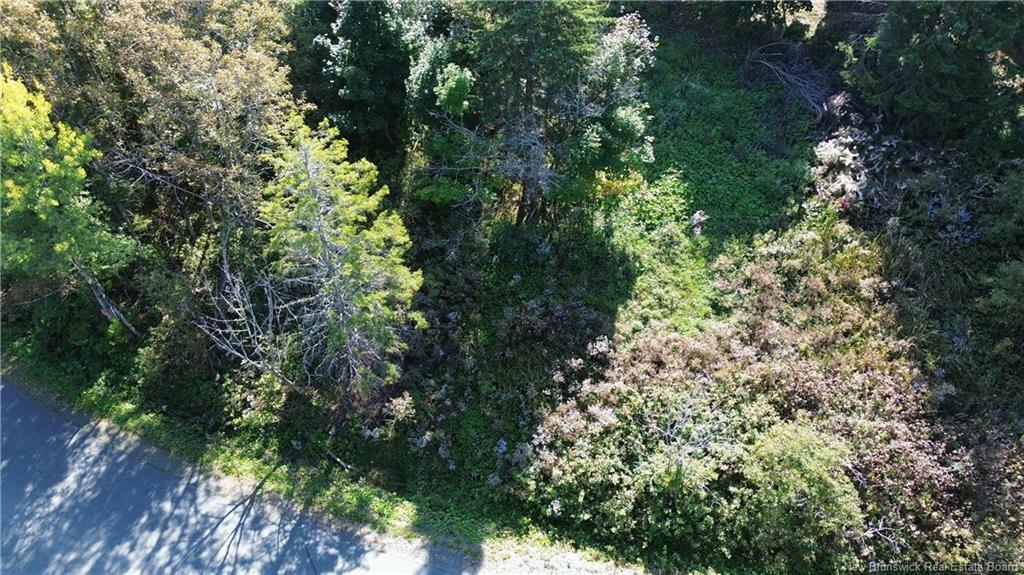 Property Photo:  Vacant Land Cote Bleue Drive  NB E2A 4C9 