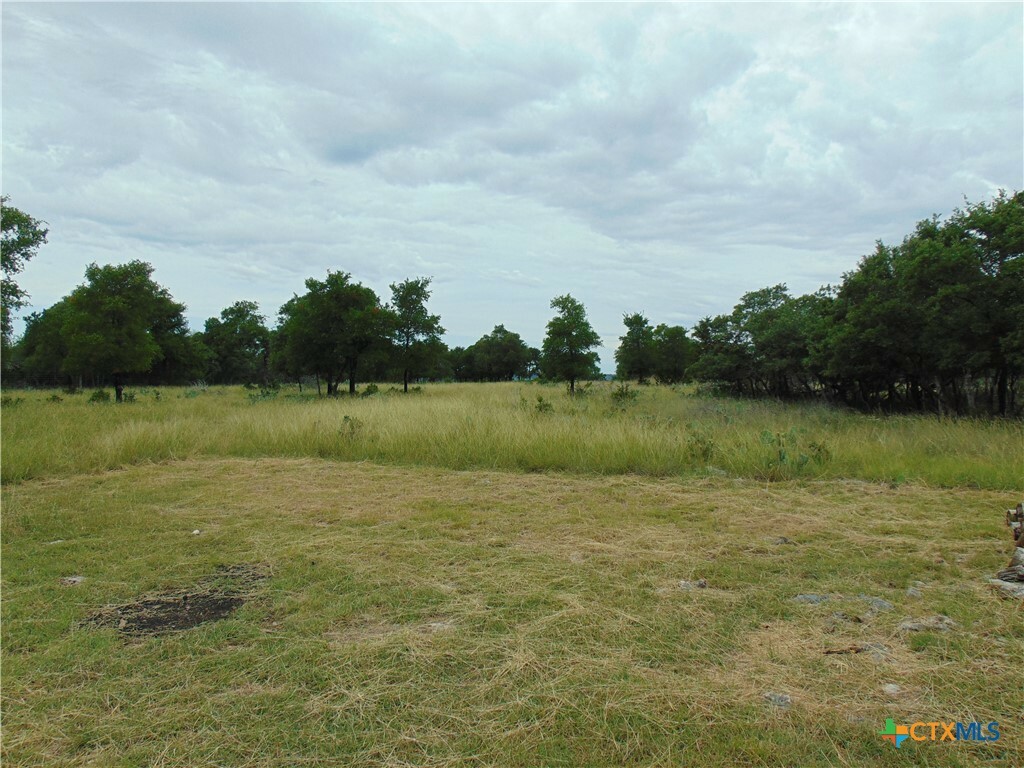 Property Photo:  1661 Cottonwood Mesa Drive  TX 76539 
