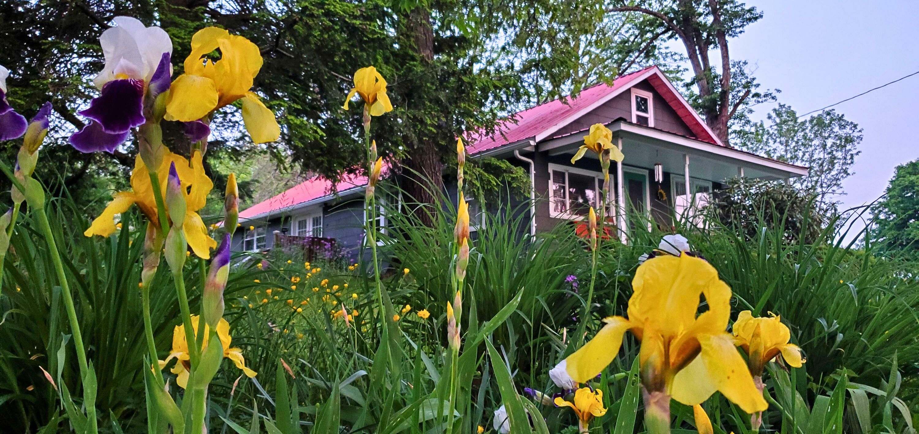 Property Photo:  27799 Midland Trl  WV 24901 