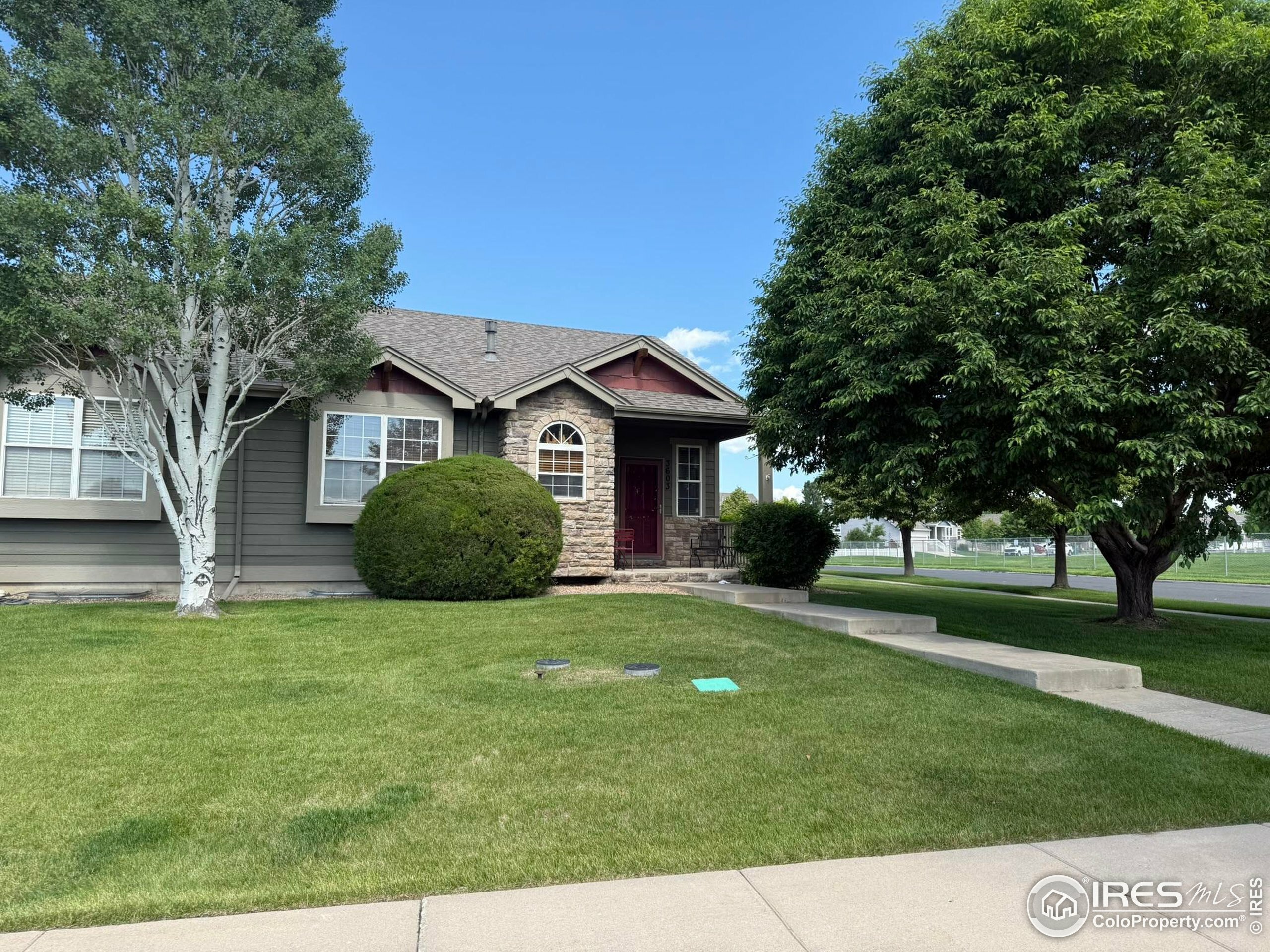 Property Photo: 3603 Portofino Ave CO 80620