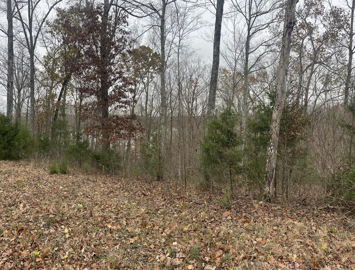 Property Photo: Lot 28 Cumberland Shores KY 42633