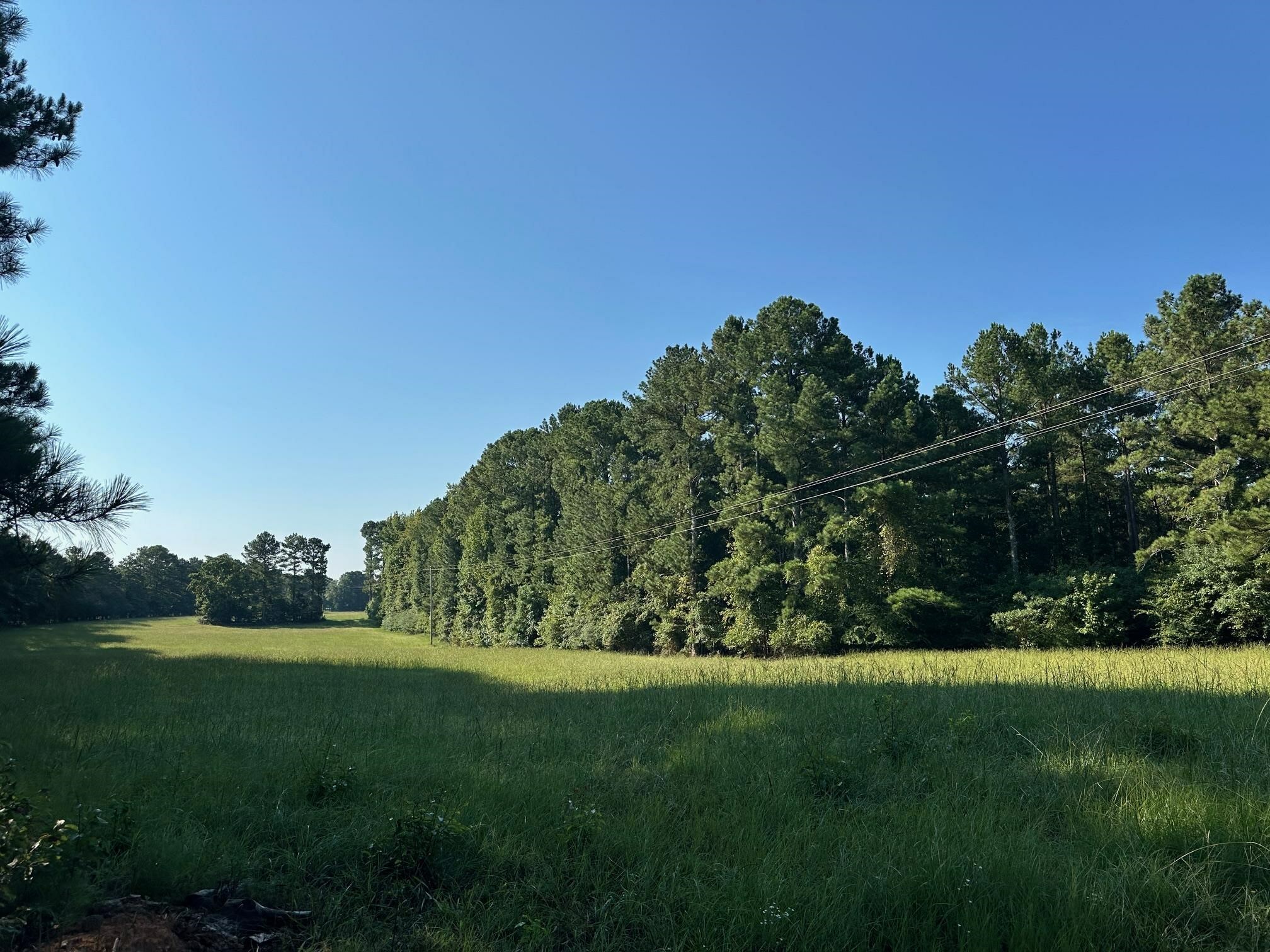 Property Photo: 1661 Walker Church Road GA 30642-000