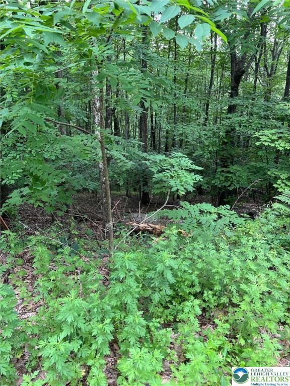 Faber Circle 40,41,42,43  Pocono Twp PA 18372 photo