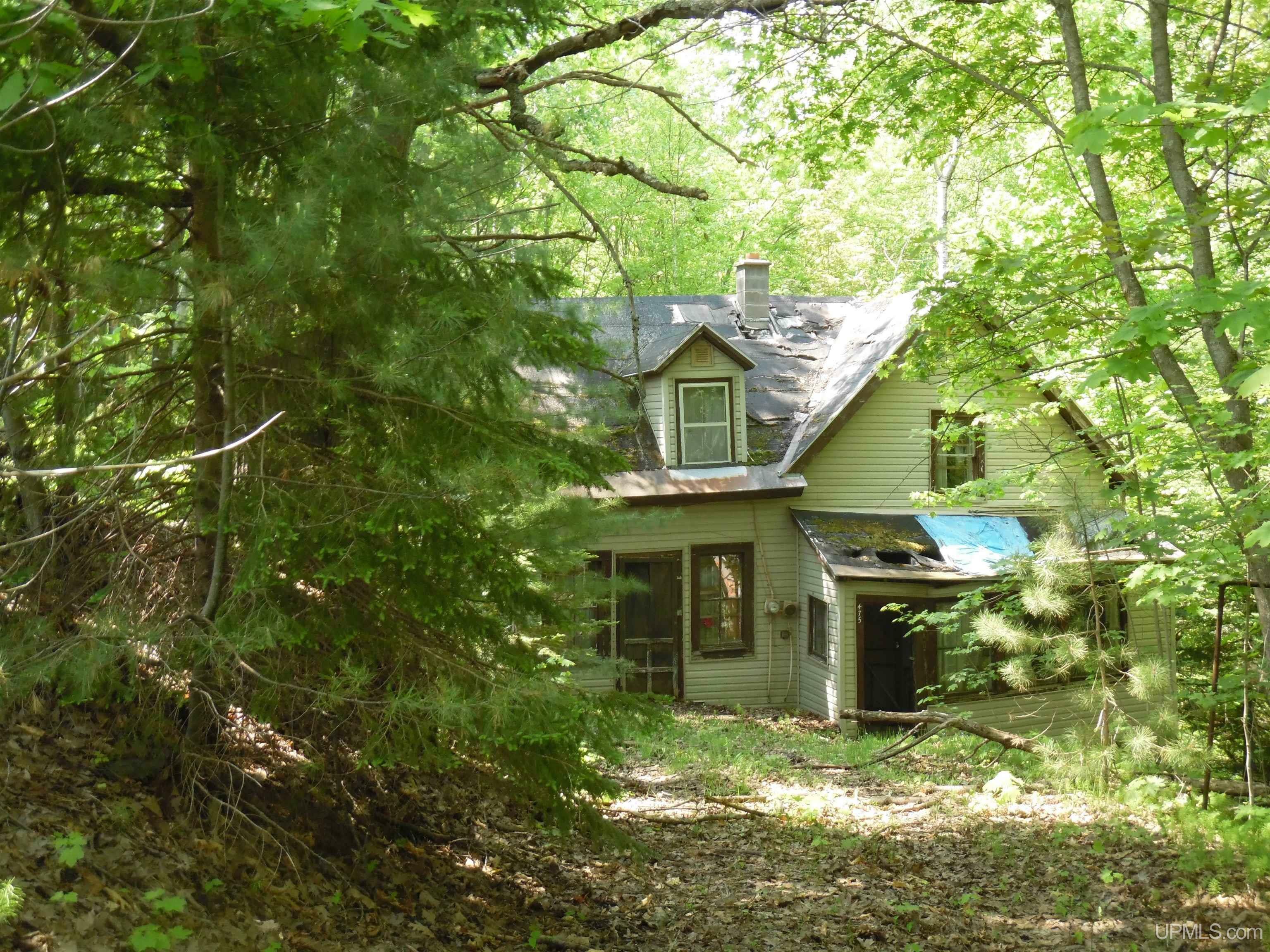 Property Photo: 475 Poplar Street MI 49945