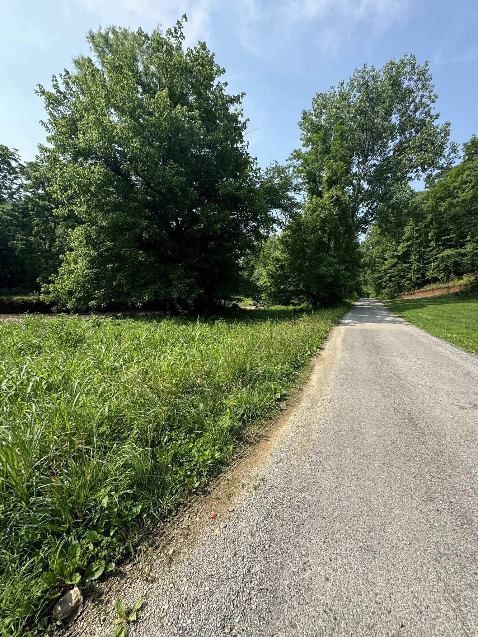 Property Photo:  25 Annie Hollow Road  TN 37186 
