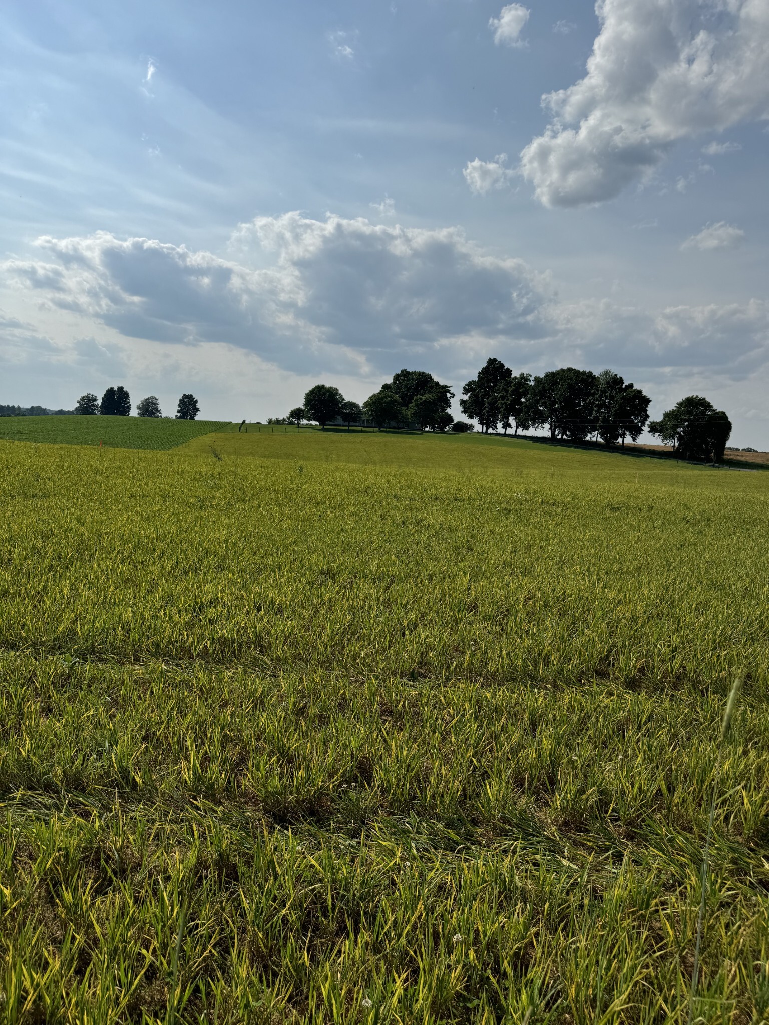 Property Photo: 3 Akersville Road TN 37083