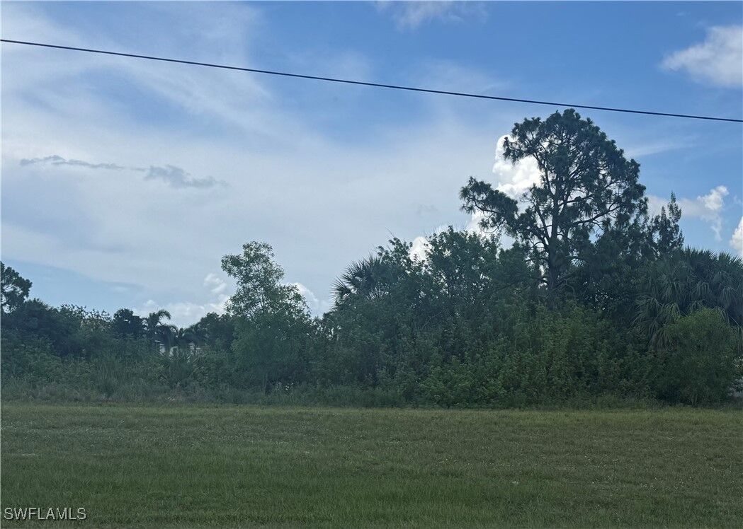 Property Photo:  2437 Diplomat Parkway W  FL 33993 