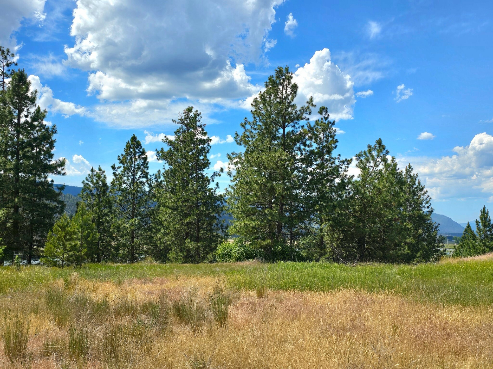 Property Photo: Lot 9 Riverview Terrace MT 59859