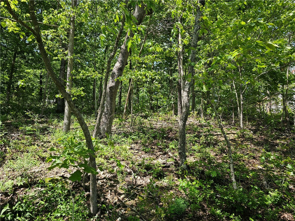 Property Photo: Tbd Kenninghall Lane AR 72715