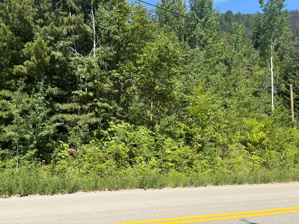 Property Photo:  Lot 68 Squilax-Anglemont Road  BC V0E 1M9 