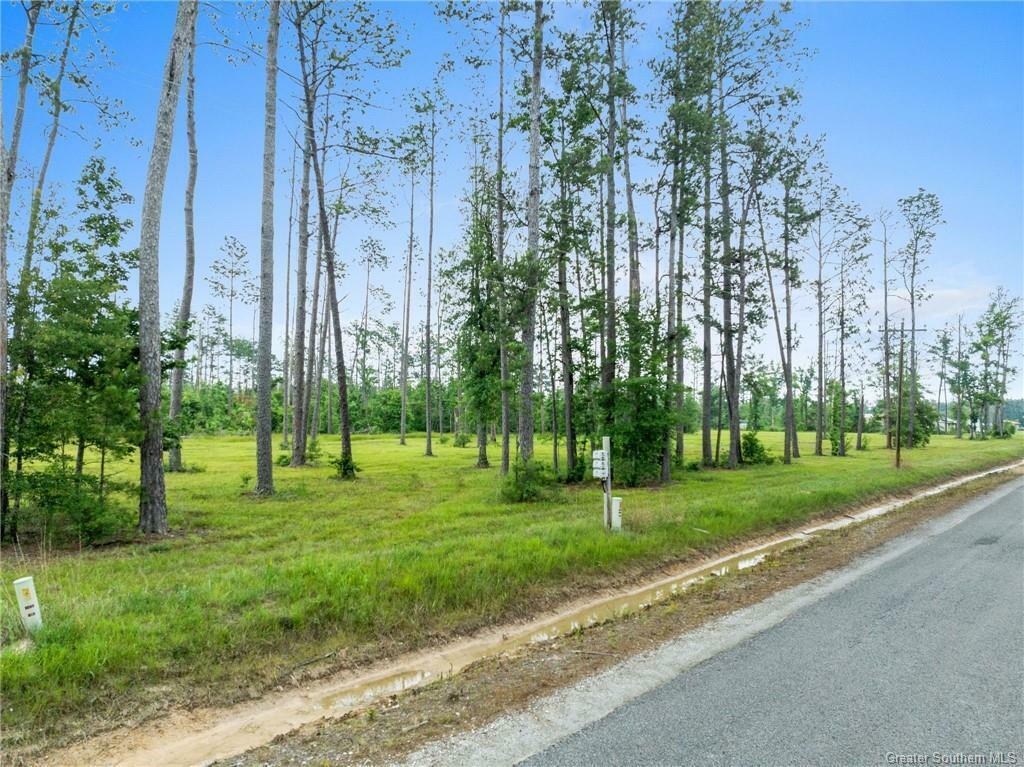 Property Photo: Duke Hollingsworth Rd Tract 1 LA 70657