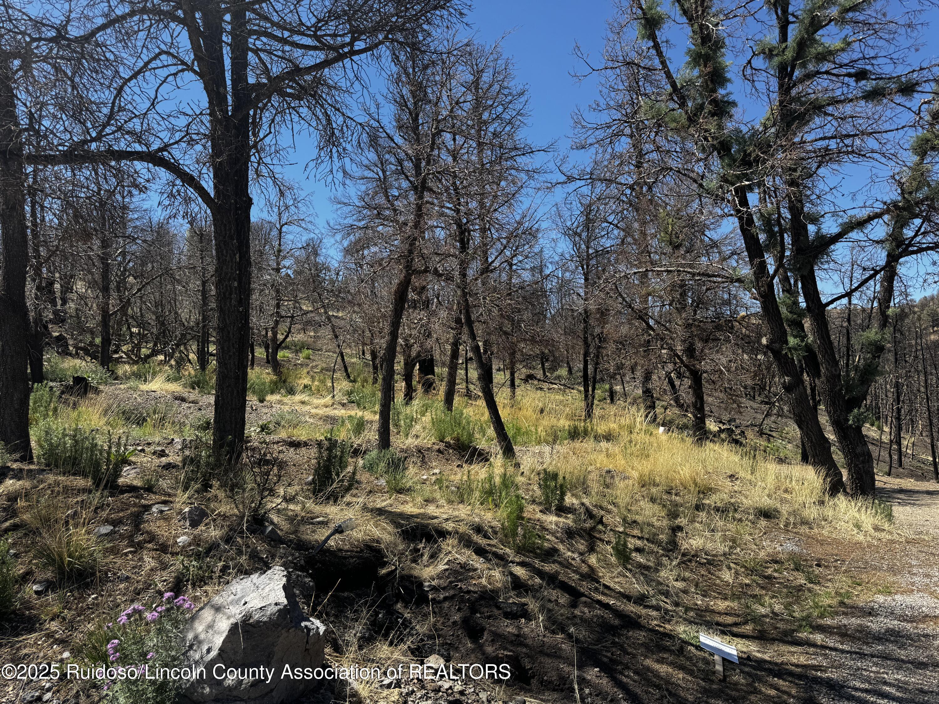 Property Photo:  140 Telluride Trail  NM 88345 