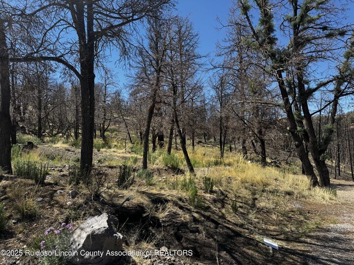 140 Telluride Trail  Ruidoso NM 88345 photo
