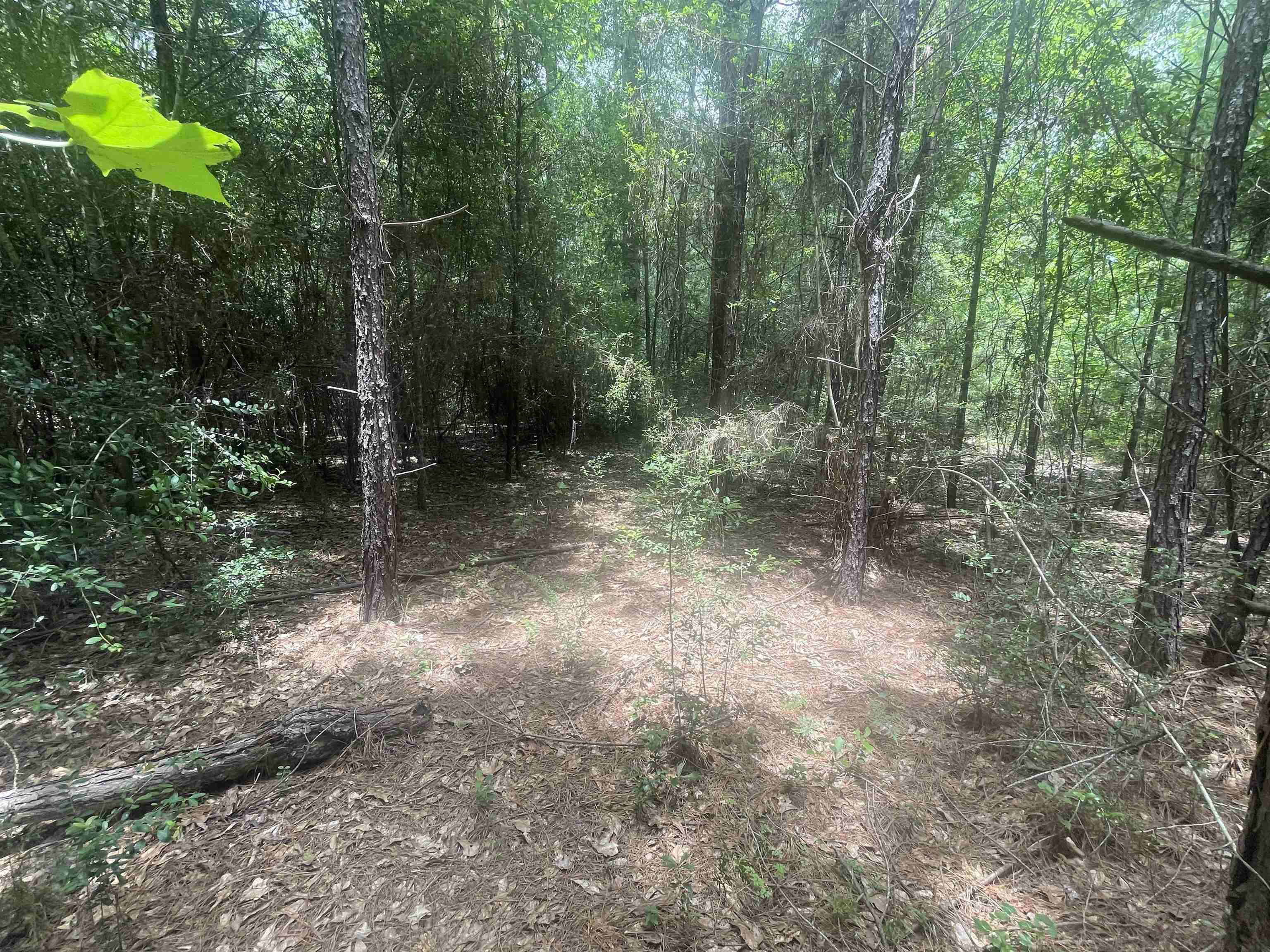 Property Photo: