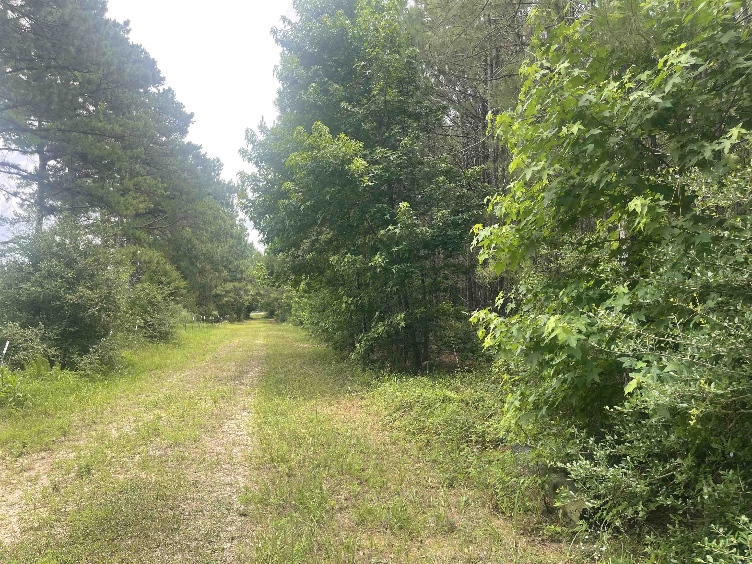 Property Photo:  01 Cr 4595  TX 77616 