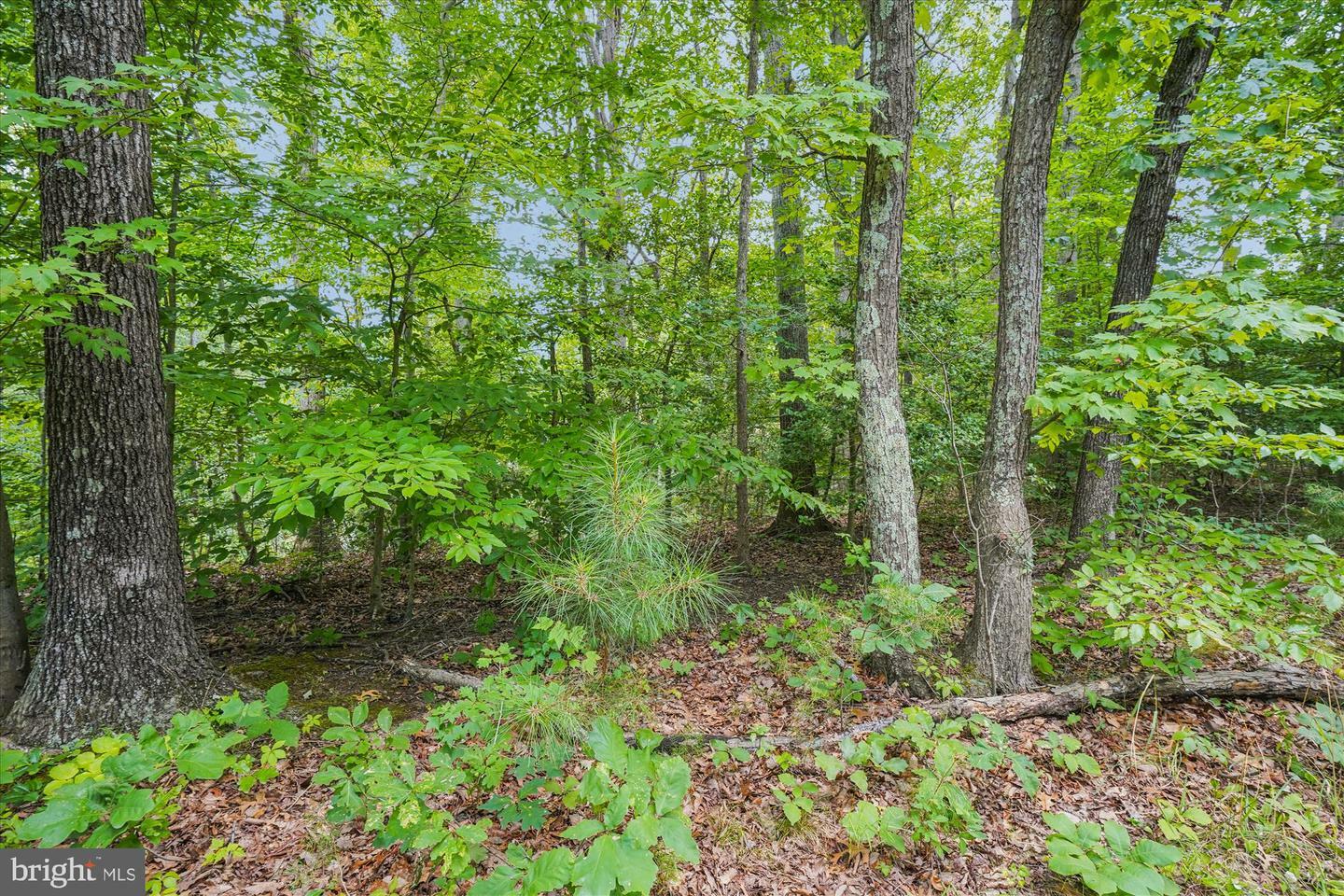 Property Photo: 383 Red Cloud Road MD 20657