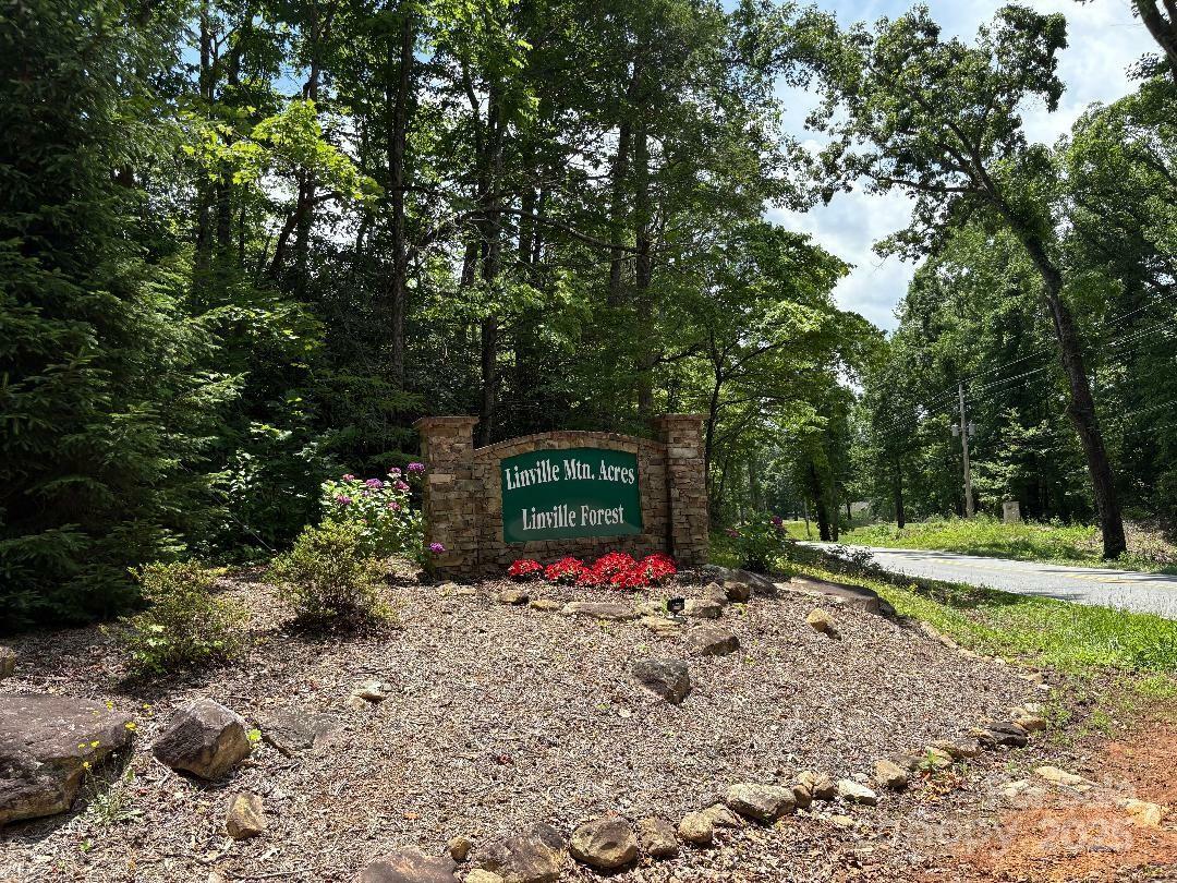 Property Photo: Lot 34 N Oakwood Drive NC 28752