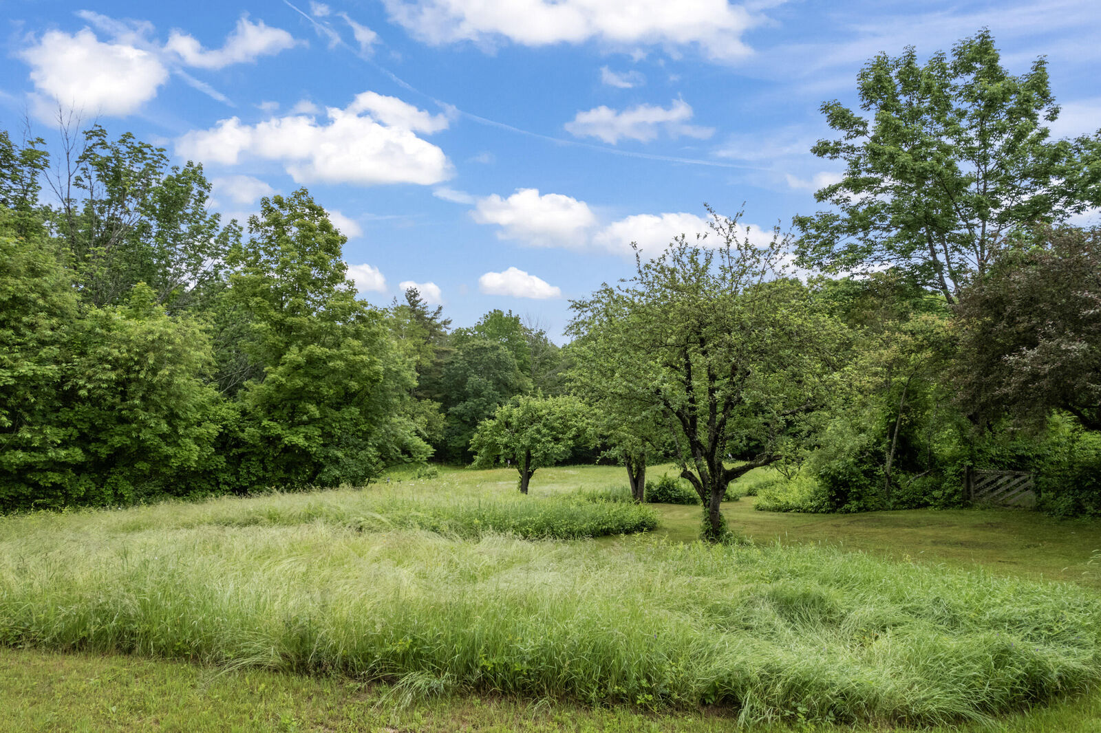 Property Photo: Lot 51 Ford Quint Road ME 03906