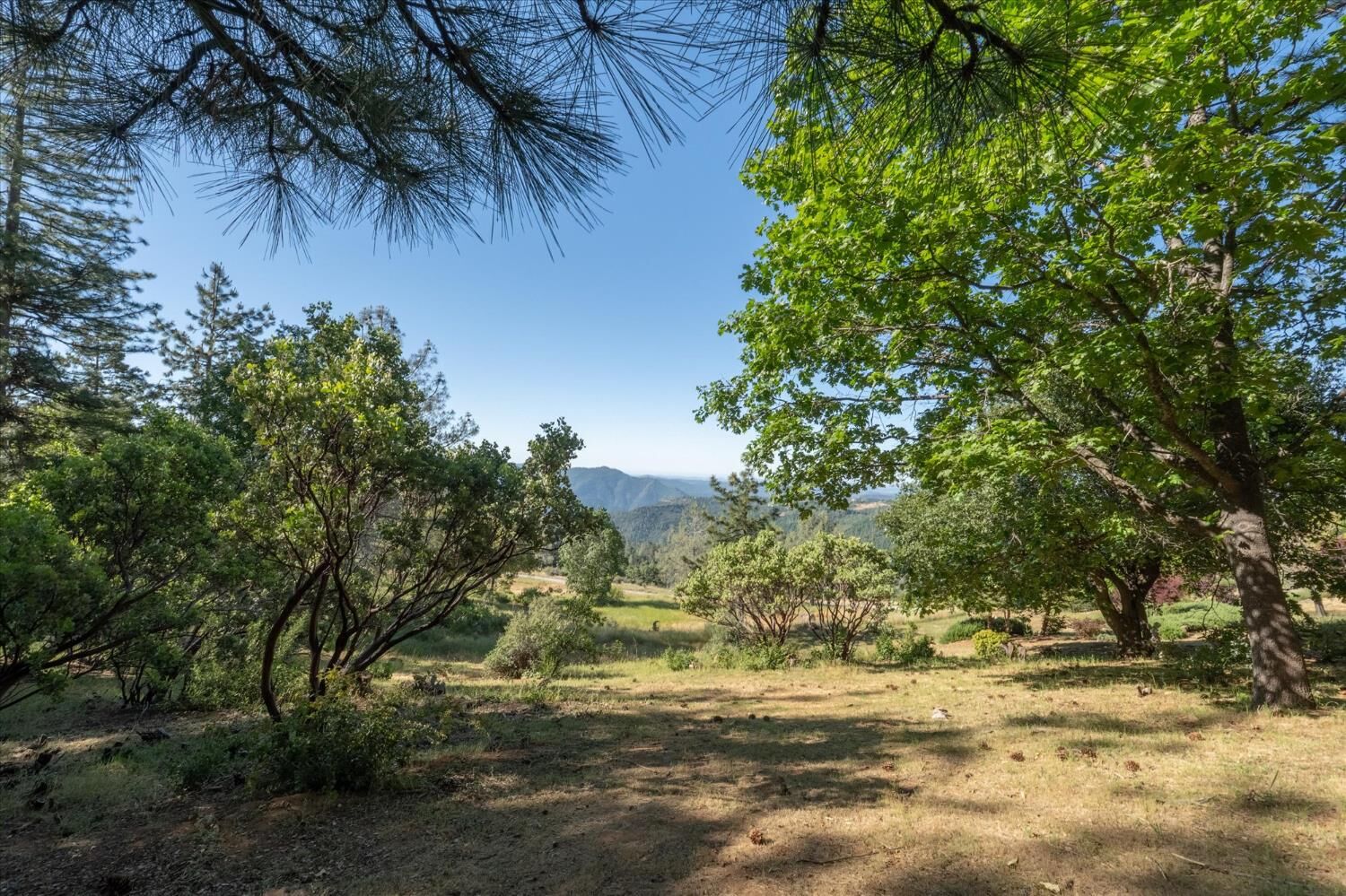 Property Photo:  1262 Heather Drive  CA 95247 