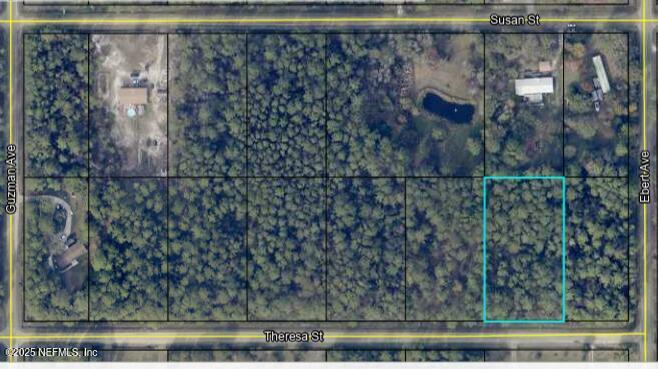 4210 Theresa Street  Hastings FL 32145 photo