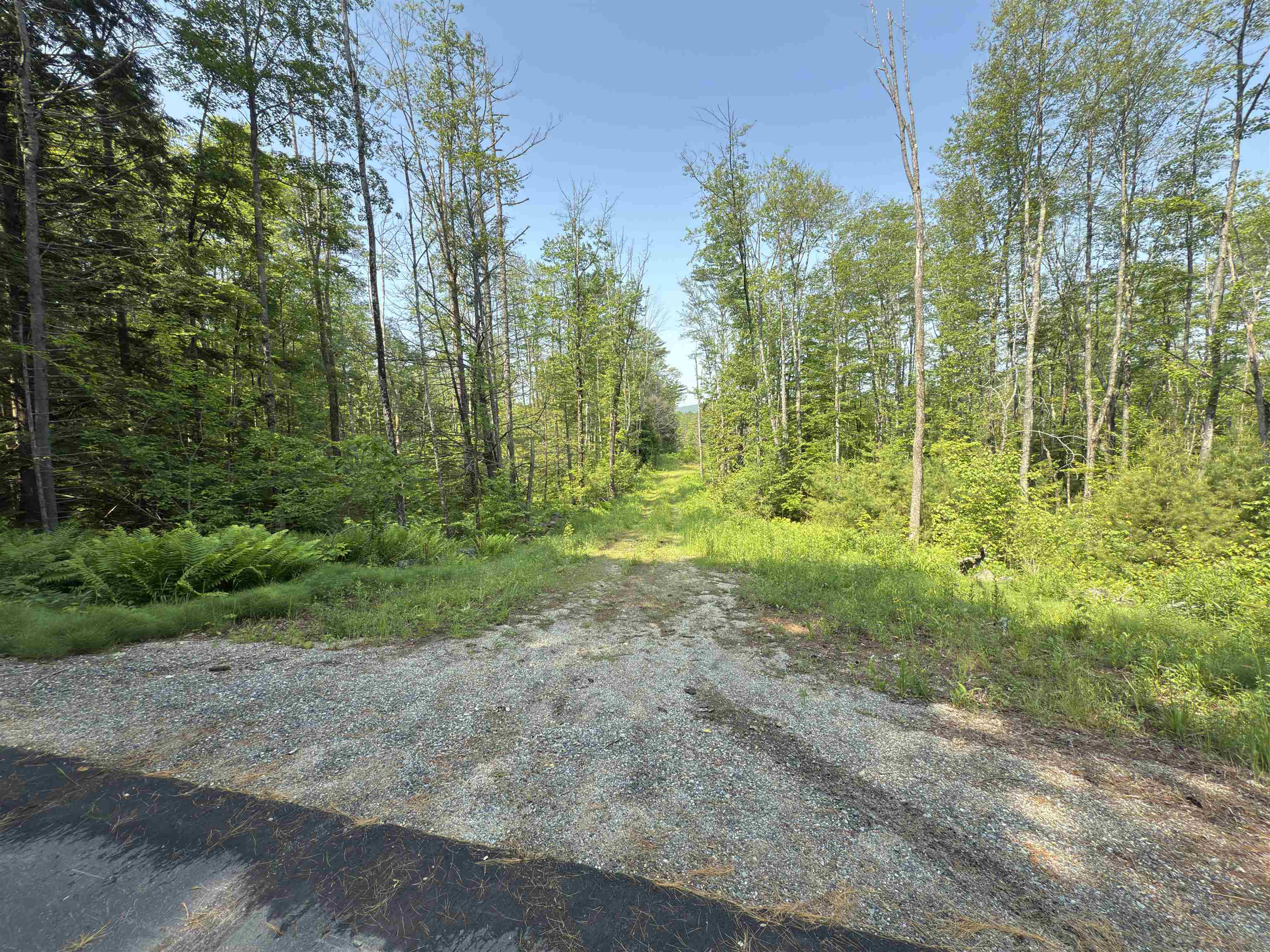 Property Photo: 0 Shaker Road NH 03260