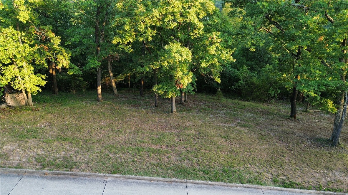 Property Photo: Lot 3 Serenity Point Lane AR 72756