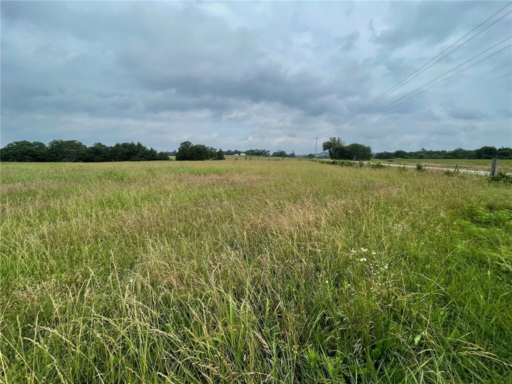 Property Photo:  Ar 21 Highway  AR 72616 