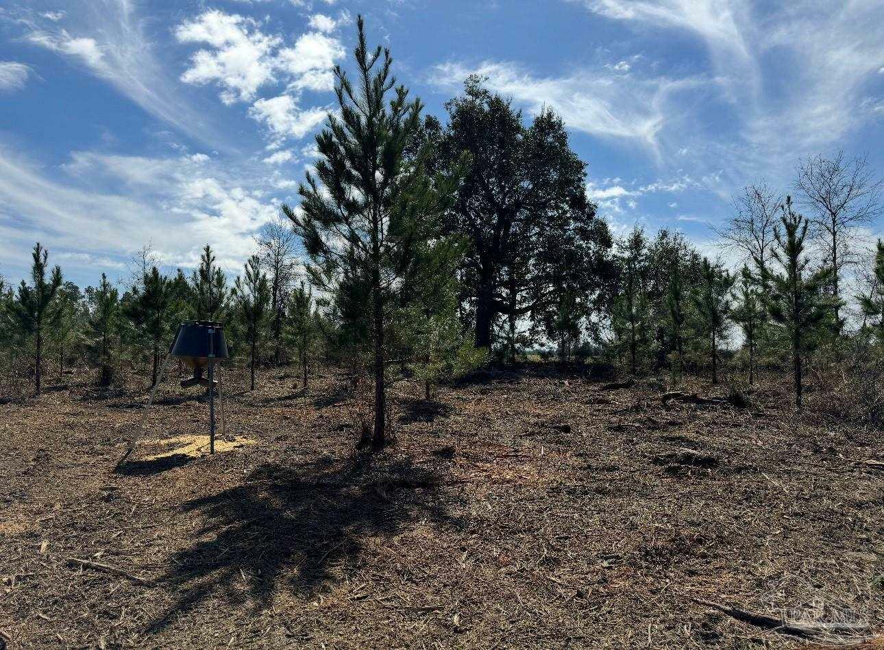 Property Photo: 000 Bright Prospect Rd Lot 7 FL 32448