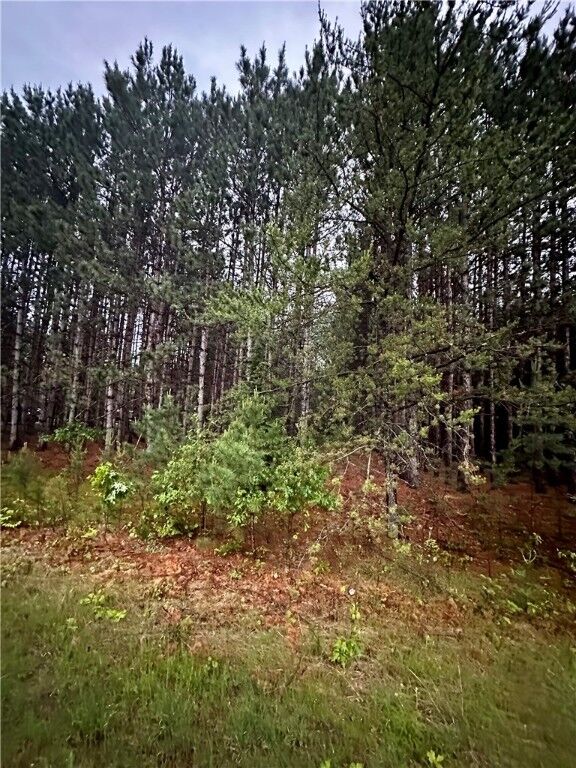 Property Photo:  .8 Acres 70th Avenue  WI 54729