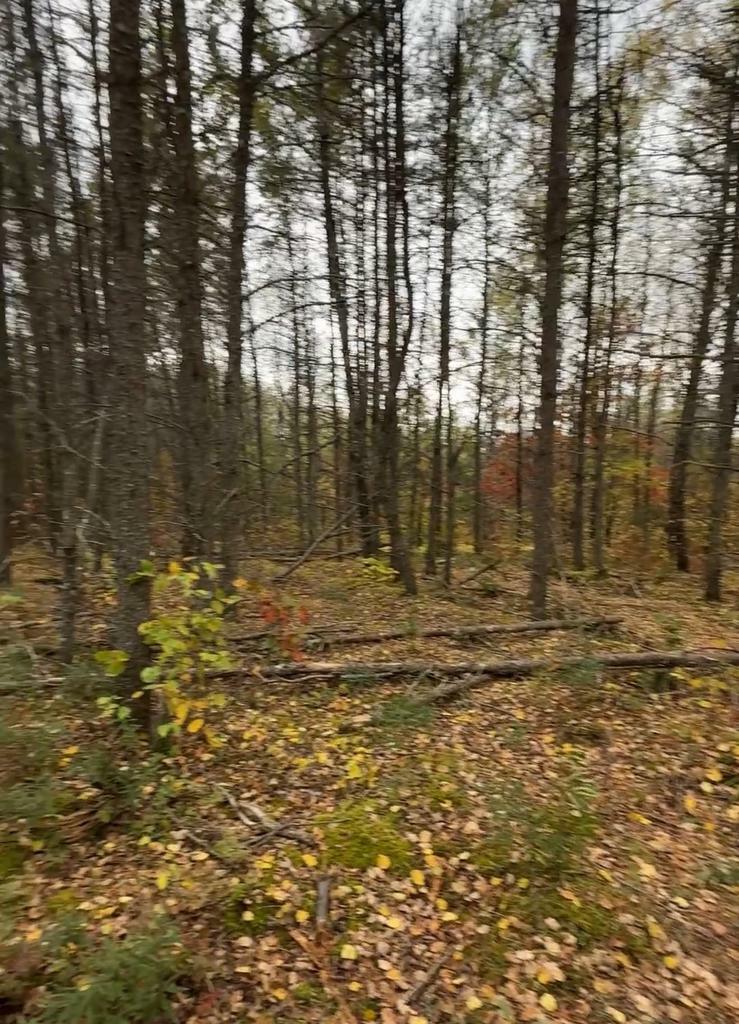 Property Photo: 14 Wood Road WI 54487