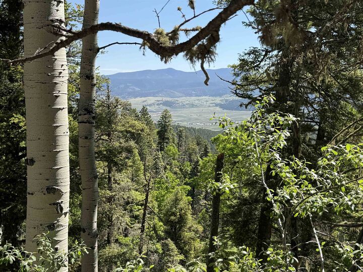 Property Photo: Lot 37 Brazos NM 87710