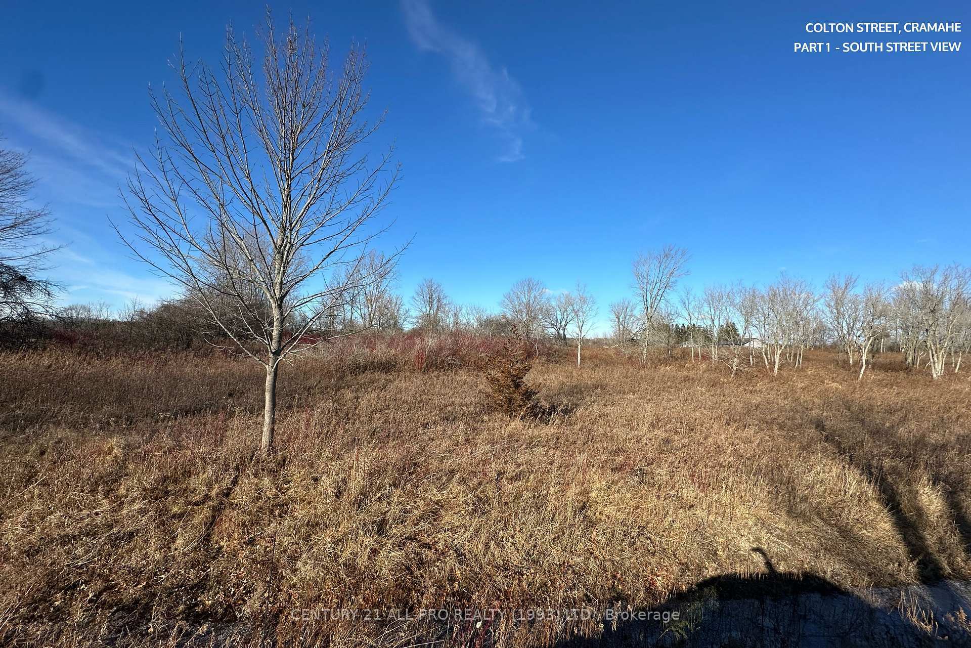 Photo de la propriété:  Lot 1 Colton Street  ON K0K 1S0 