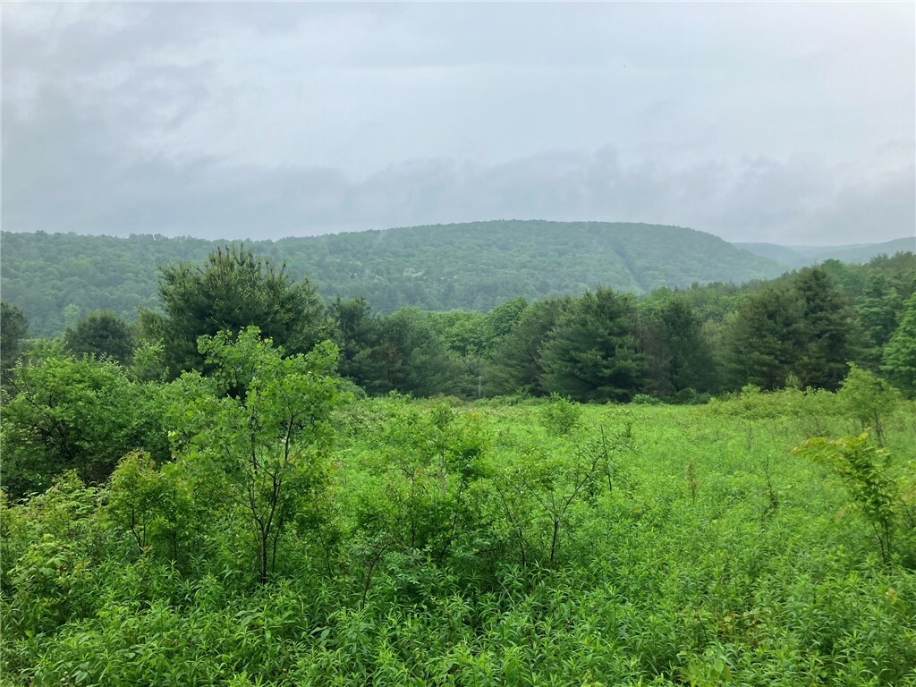 Property Photo: 144 Prospect Valley Road NY 13864