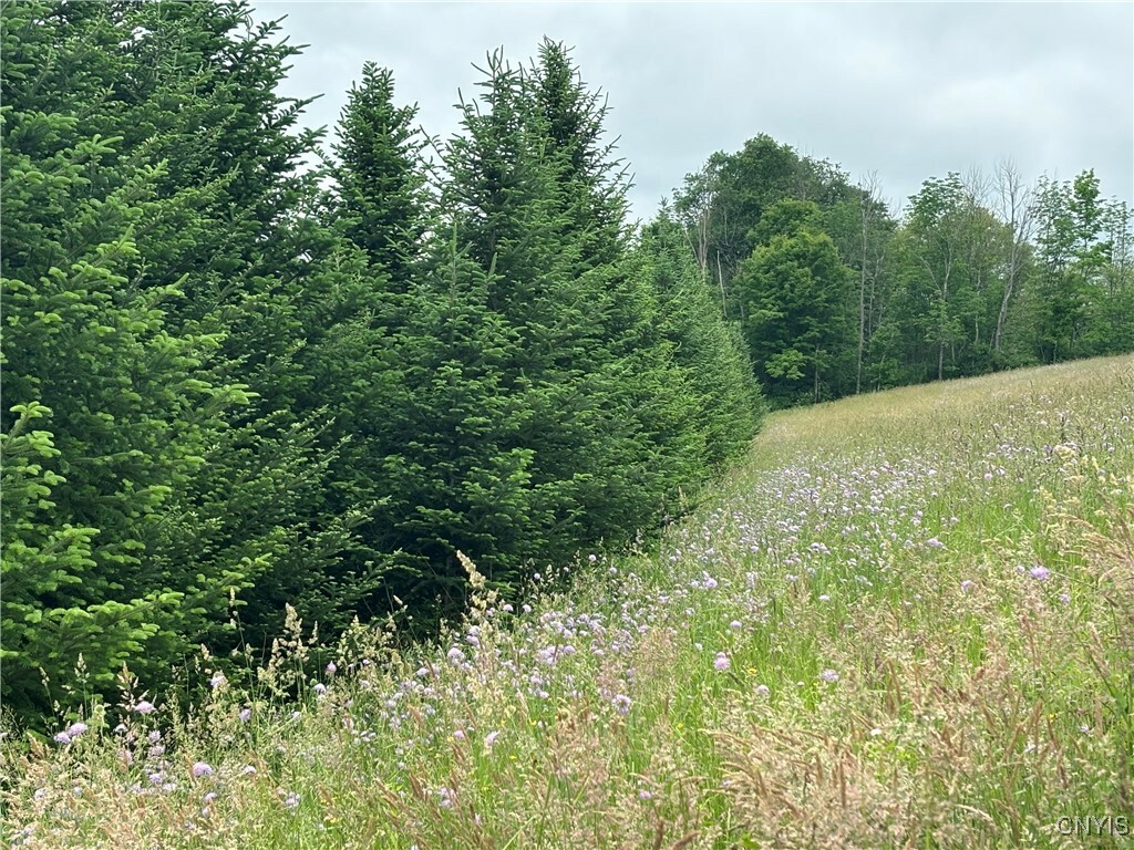 Property Photo: McGraw Marathon Road NY 13803
