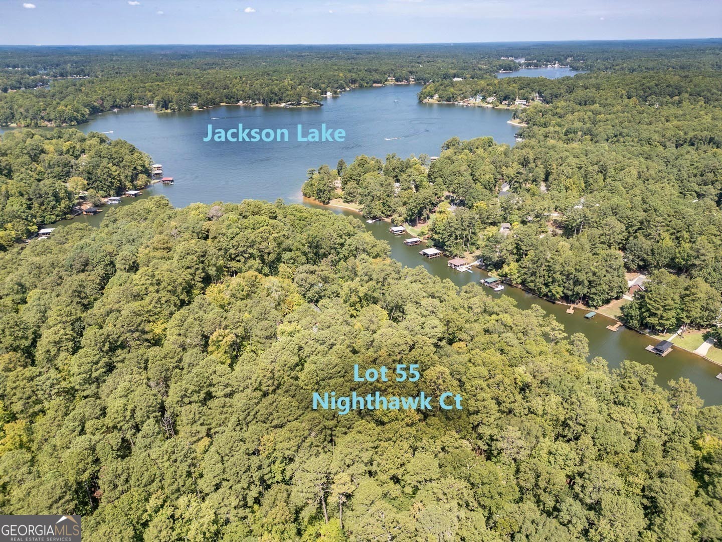 Property Photo: 0 Nighthawk Court Lot 55 GA 31064