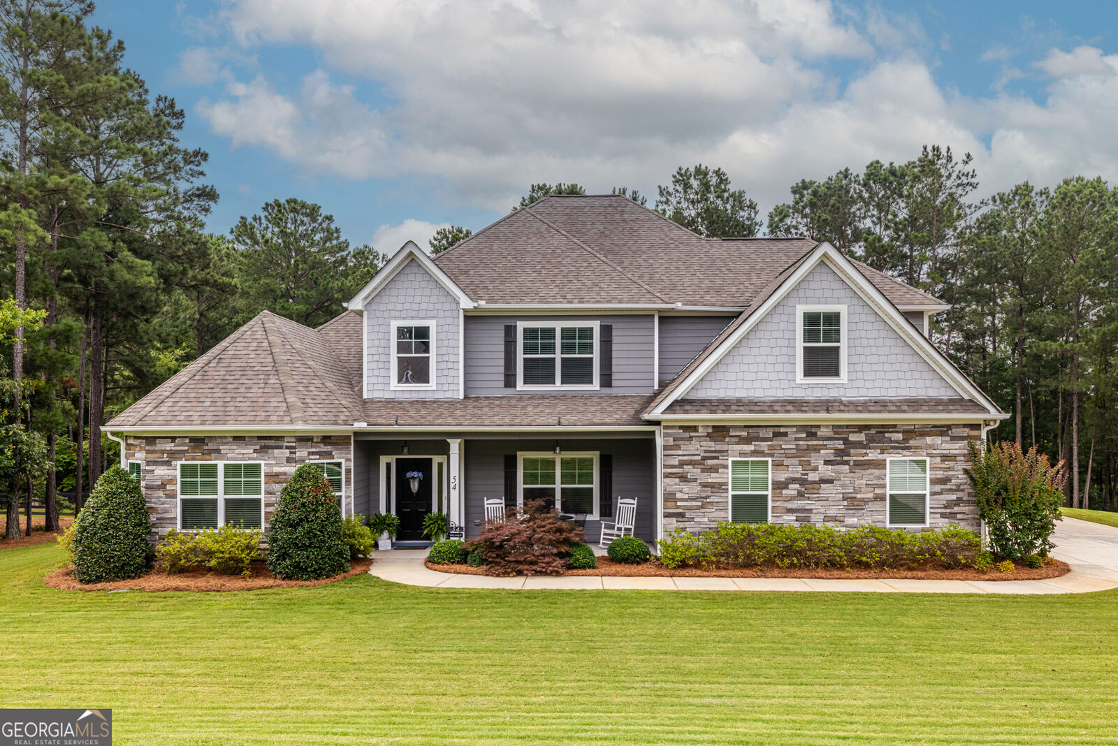 Property Photo:  54 Brooks Landing Drive  GA 30263 