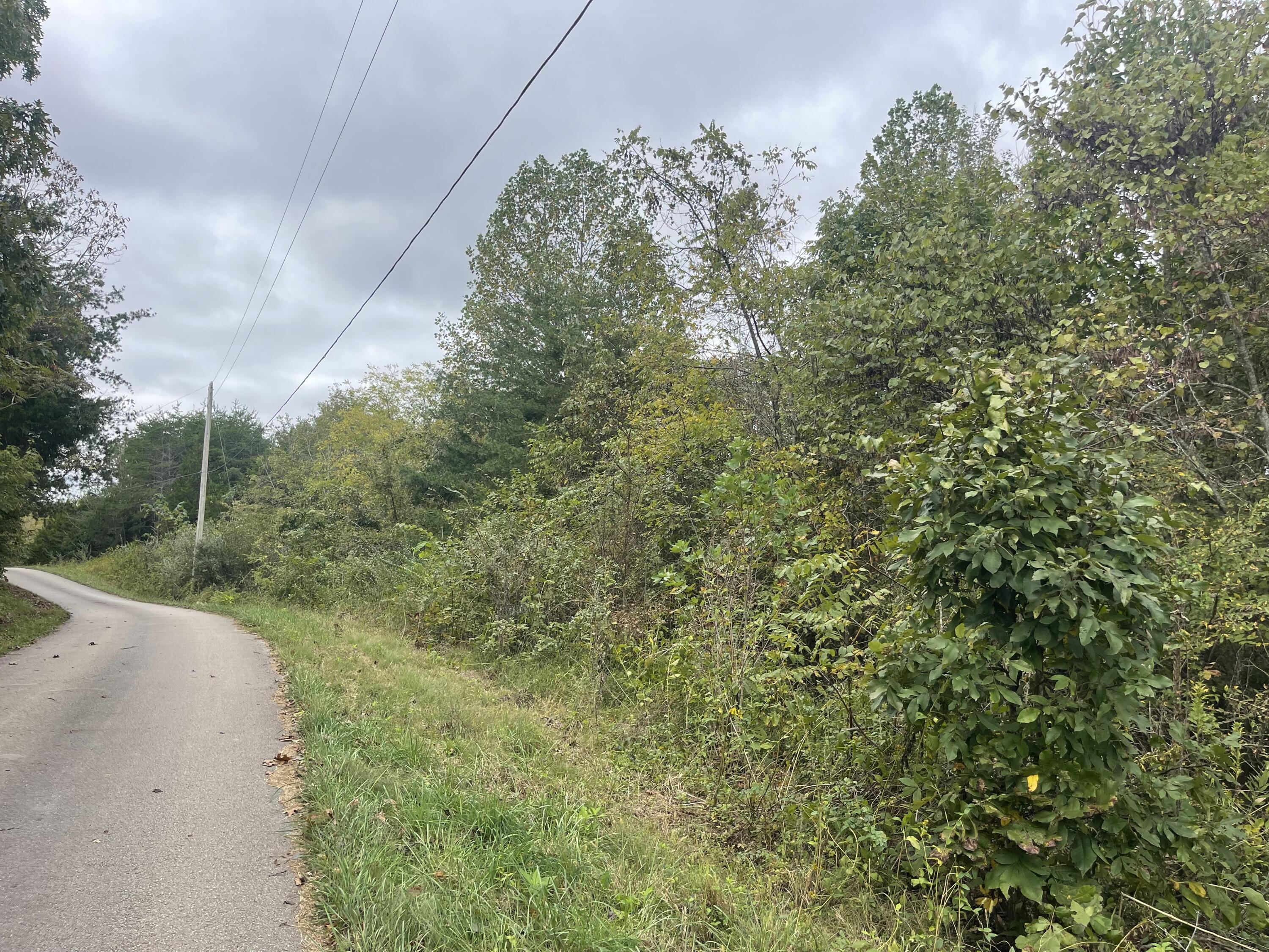 Property Photo: Lot 51 Shepperd KY 42544