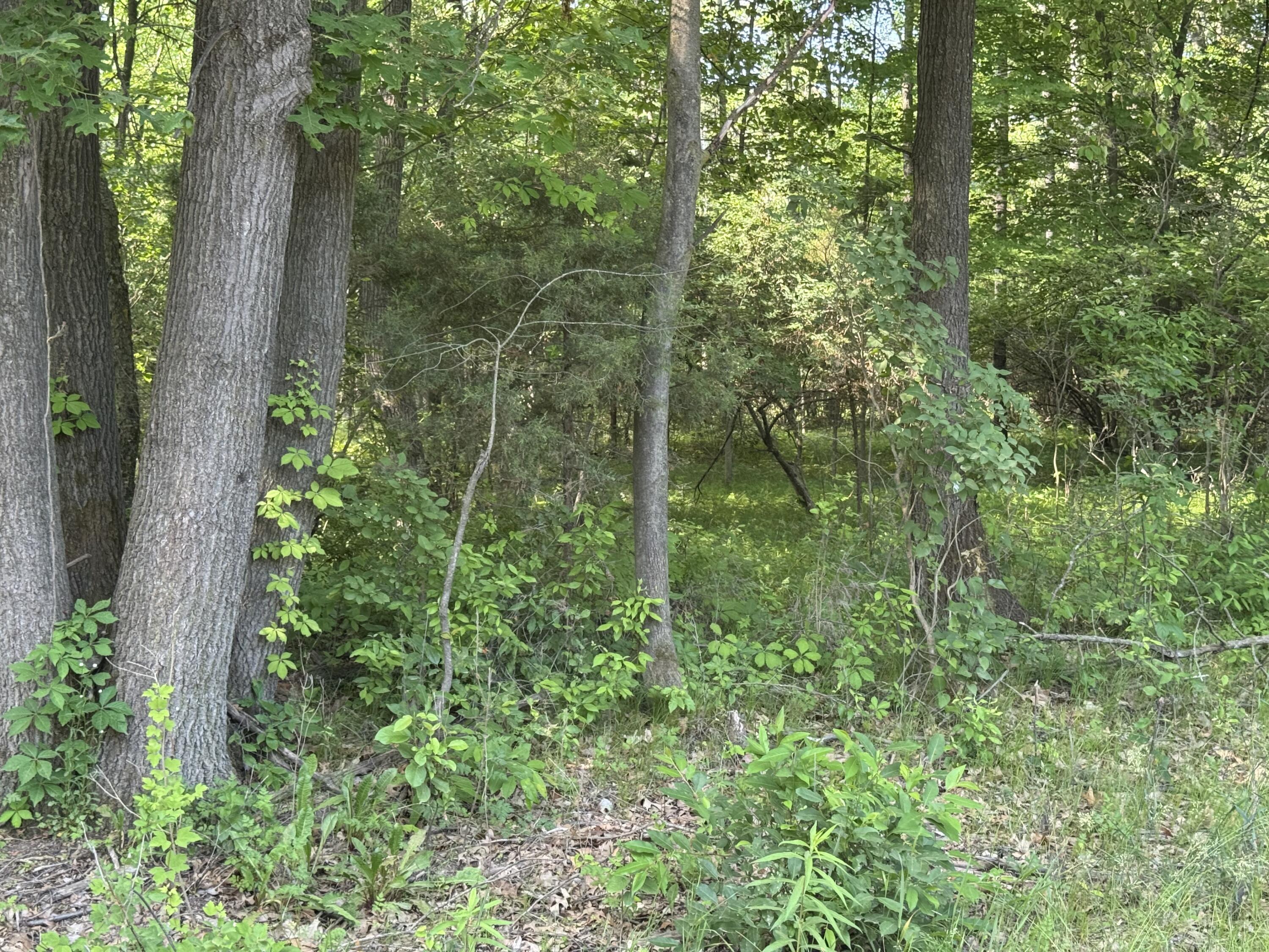 Property Photo: Vl 7 Mile Road MI 48809