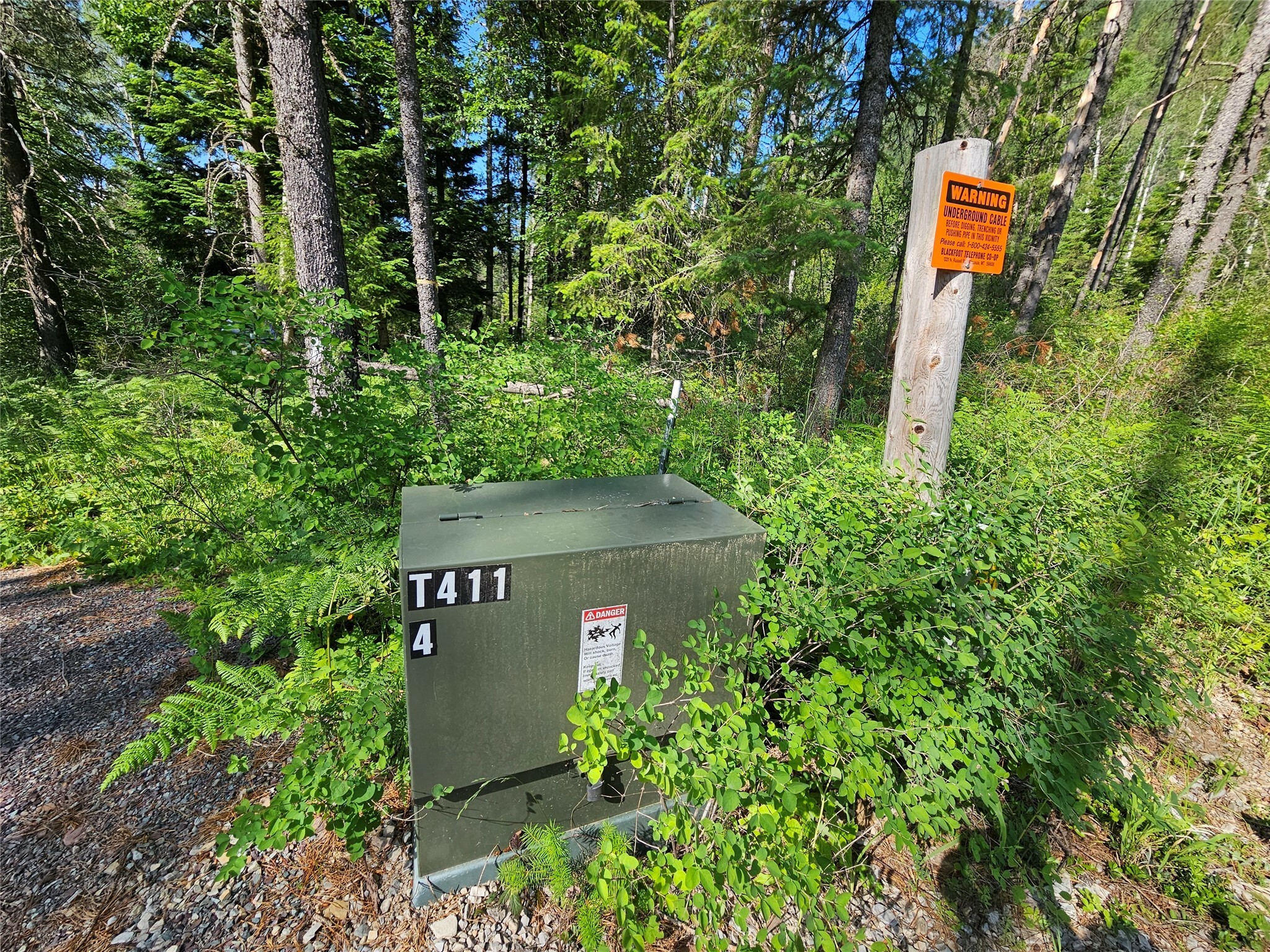 Property Photo: Lot 1 Conifer Lane MT 59853