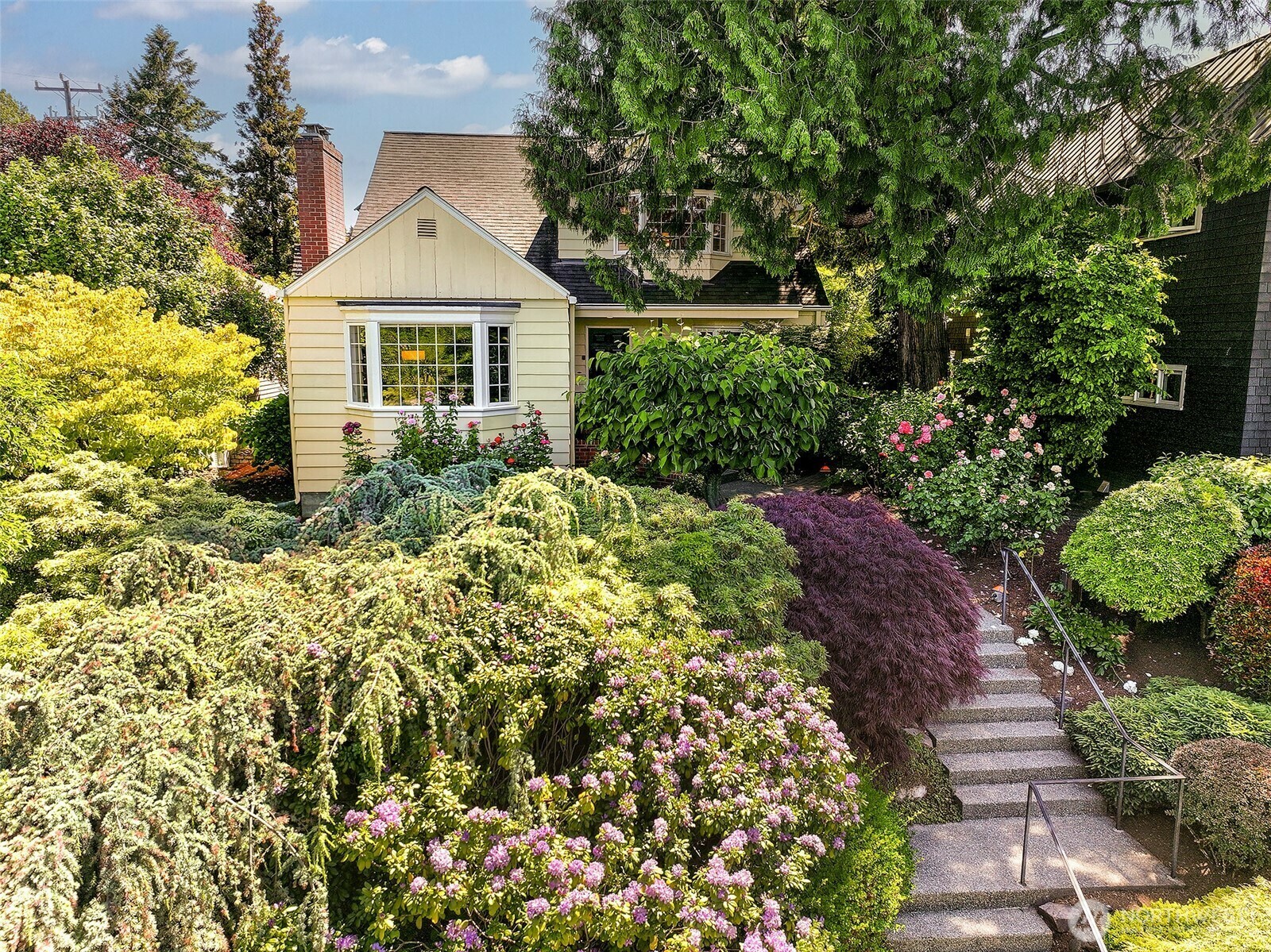 4412  43rd Avenue NE  Seattle WA 98105 photo