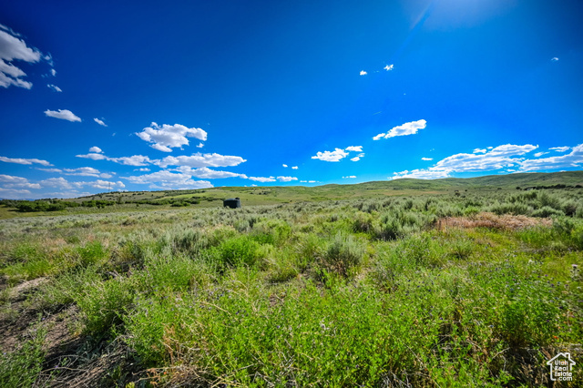 Property Photo: 29496 N 8960 E 3 UT 84629