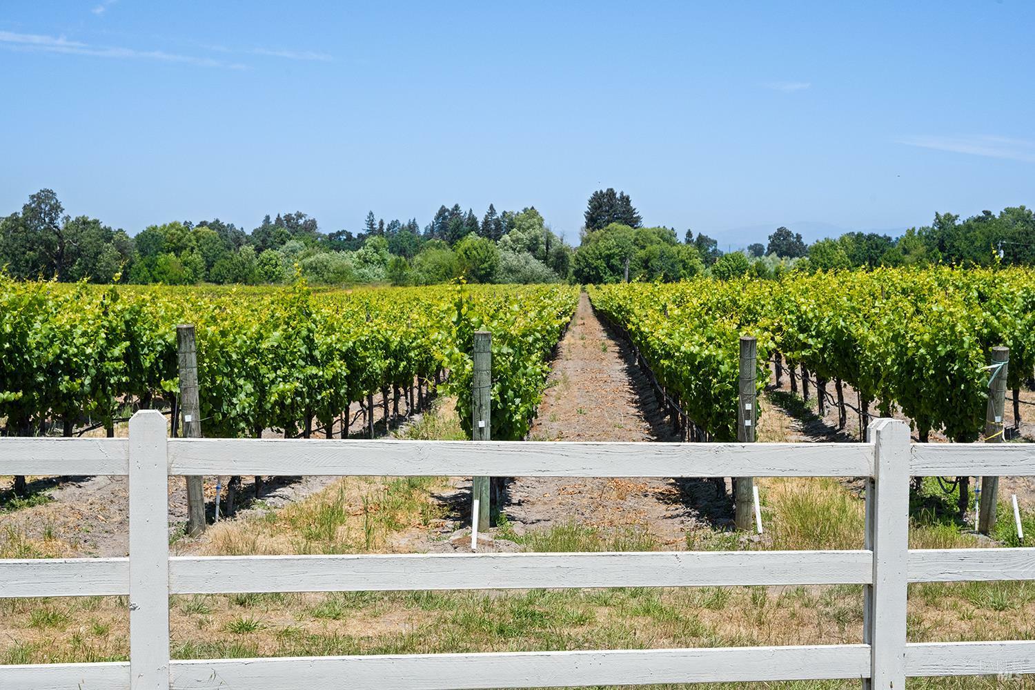 Property Photo:  5505 Bravo Toro Lane  CA 95401 