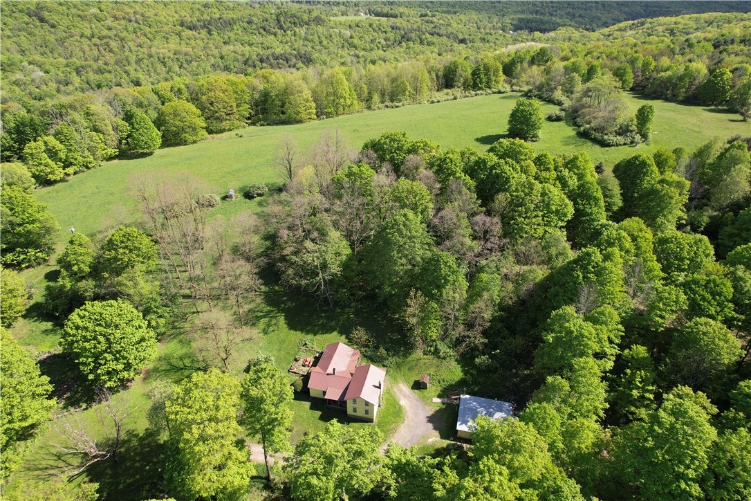 326 Park Hill Road  Erin NY 14838 photo