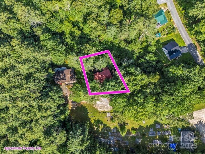 Property Photo:  62 Kinard Lane  NC 28766 