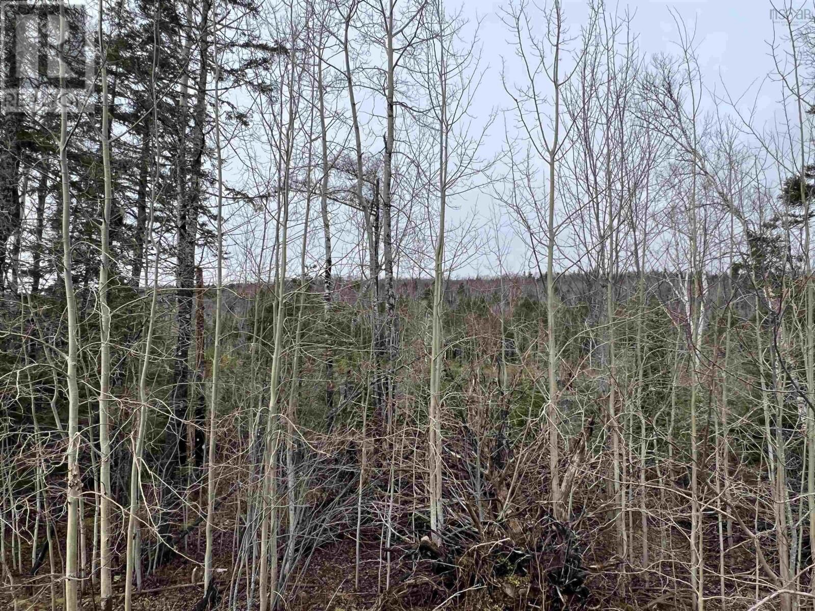 Property Photo:  Leitches Creek Road  NS B2A 3Y9 