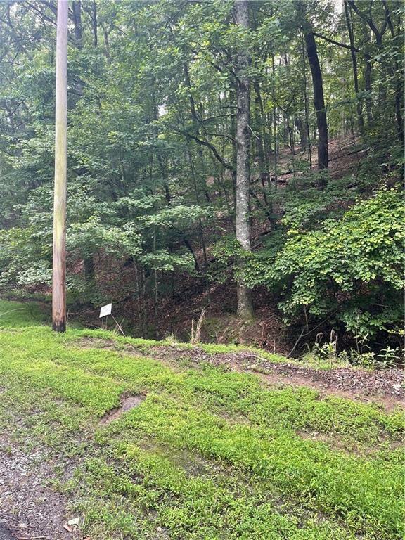 Property Photo: 124 Morning Star Drive GA 30183