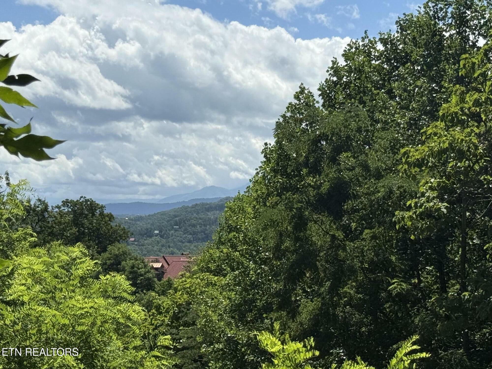 Property Photo: 0 Smoky Vista Way TN 37862