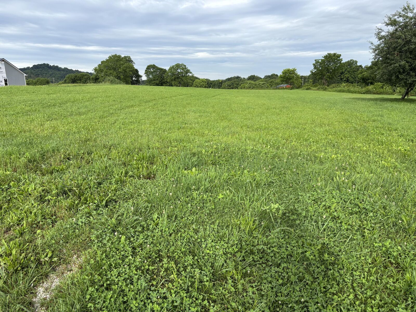 Property Photo:  Lot 2 Elihu Cabin Hollow Rd  KY 42501 