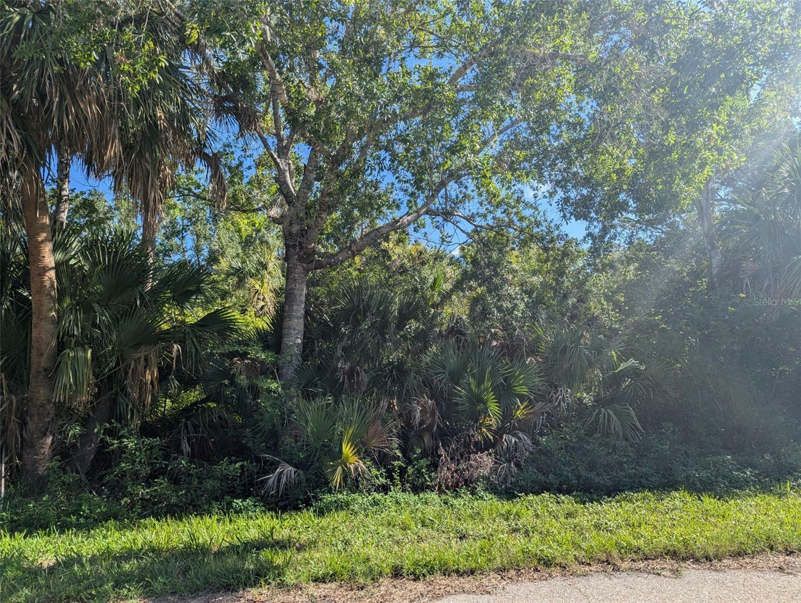 Property Photo:  16506 McLaury Avenue  FL 33954 