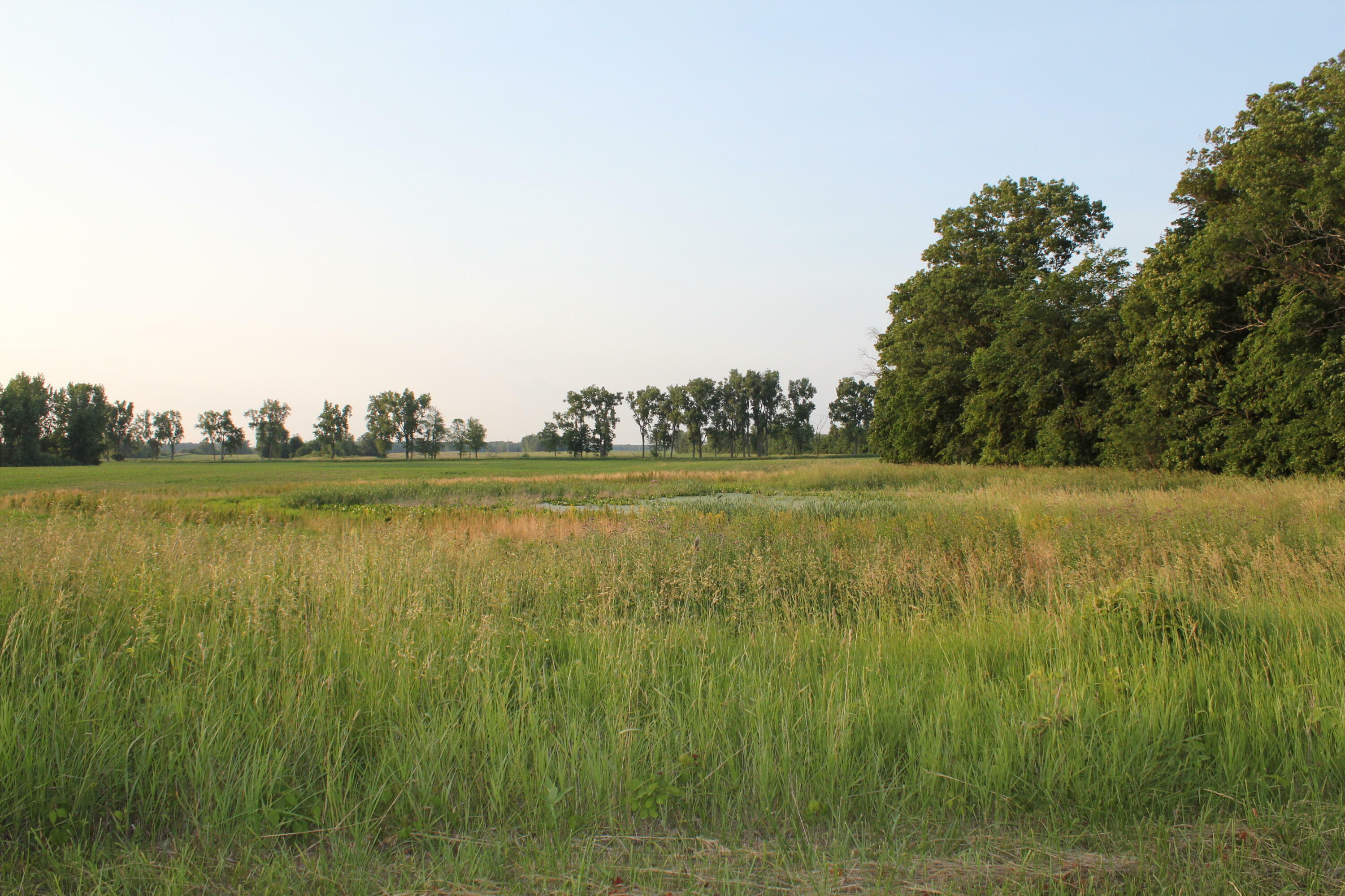 Property Photo: Vl Tamarack Road MI 49247